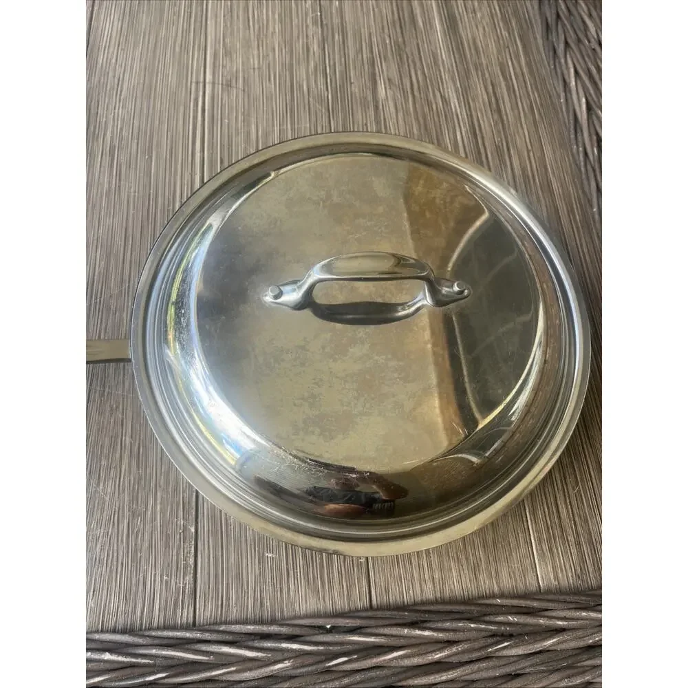All-Clad Stainless Steel 10